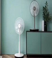 中山当心！别贪图夏日的“凉爽”而赶走了你的财运