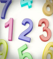 中山十二生肖选号码