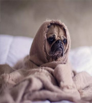 中山有这样的手机号码，留不住钱，你中枪了吗？