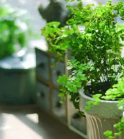 中山专属于你的开运指南，助你鸿运当头福满身！