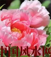 中山预示你财运上升，姻缘可成的梦境，快来看看吧！