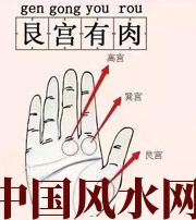 中山这个地方肉越多，财运就越好