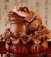 中山解读金蟾最合适的位置，这样摆放更招财！