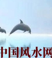 中山做梦梦到这些，是要富裕的征兆！